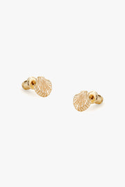 Shell Earrings