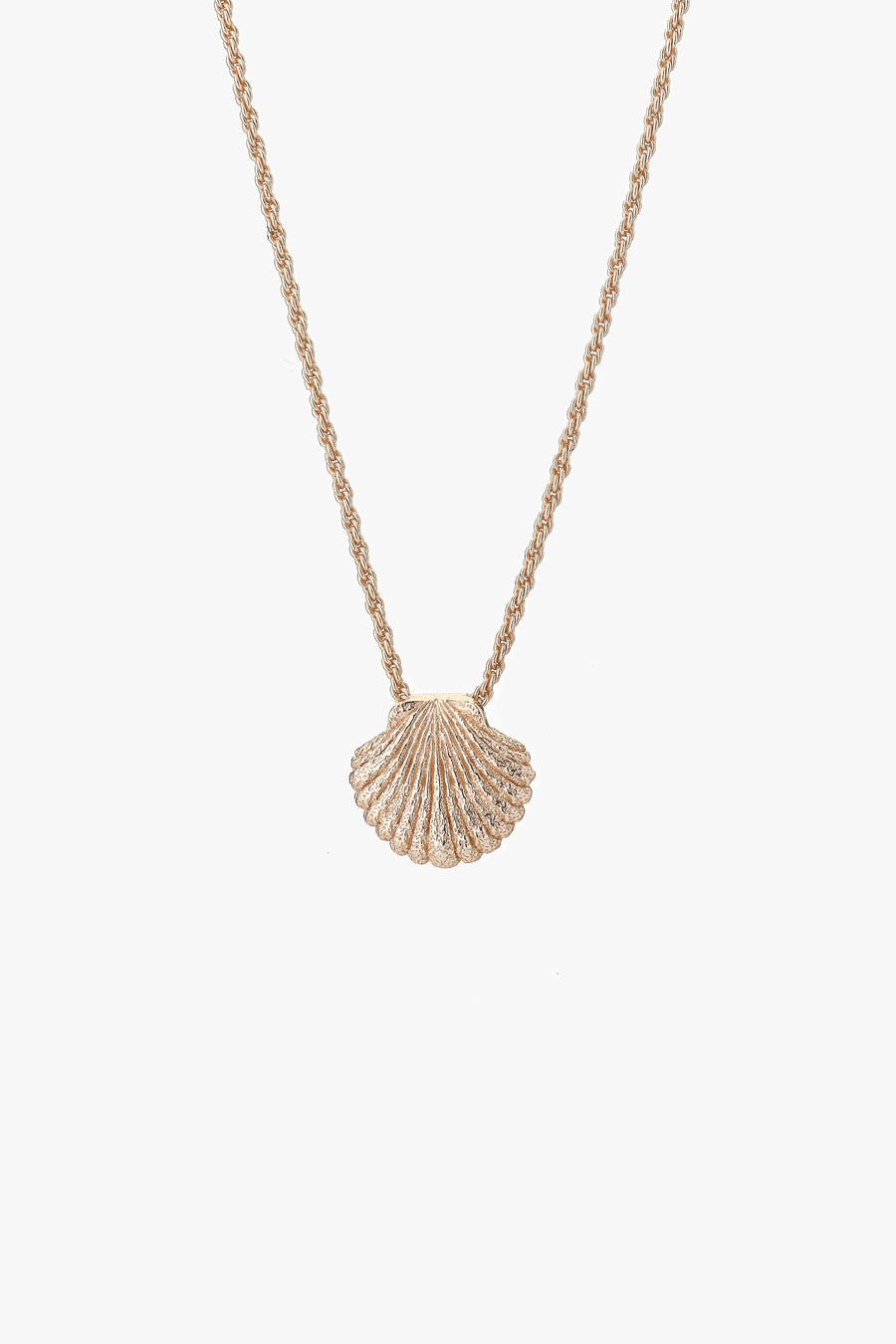 Shell Necklace