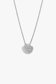 Shell Necklace