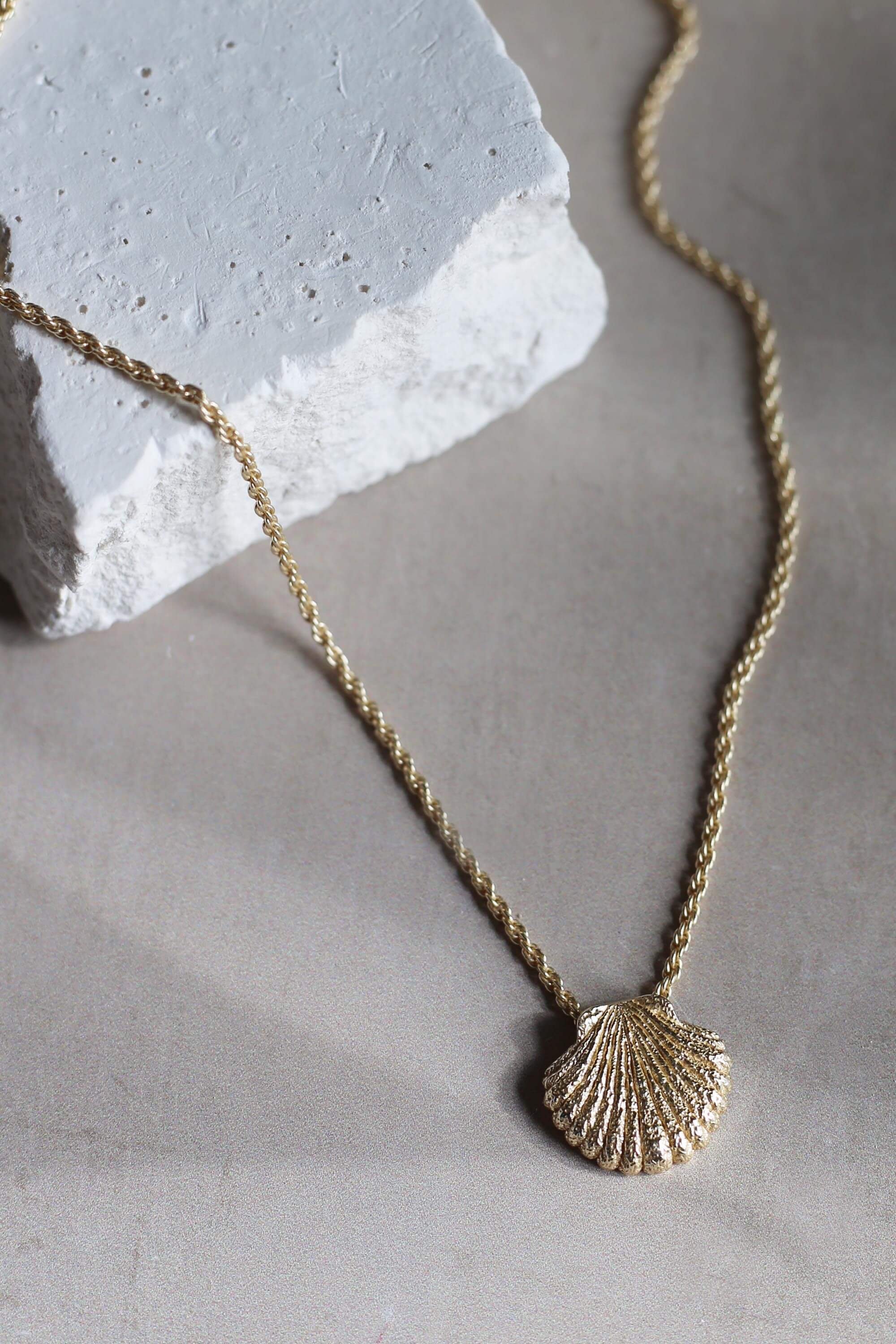 完売品！Llife VOLUTA SHELL NECKLACE Waimea Cone Shell necklace