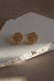 Seashell Earrings